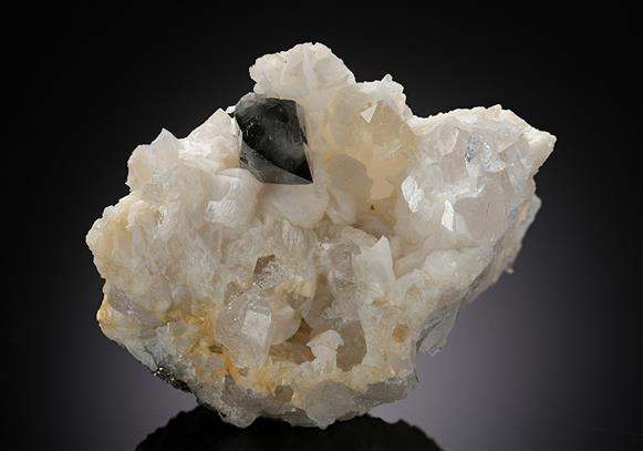 CC10627 specimen image