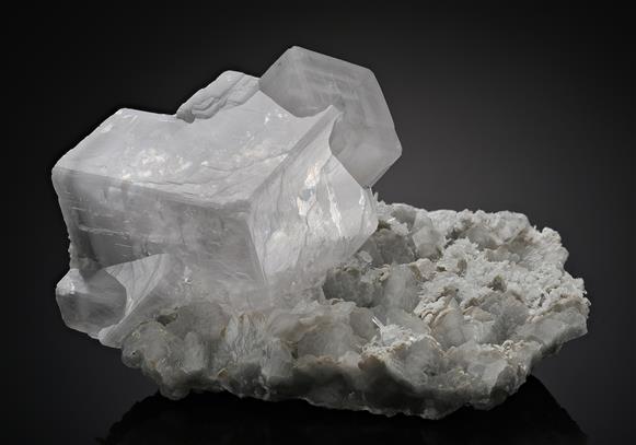 CC10636 specimen image