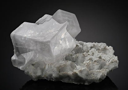 CC10636 specimen image