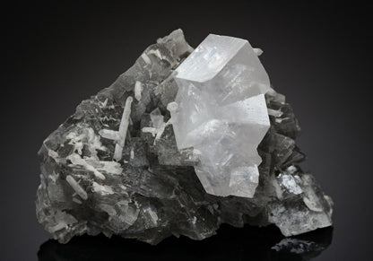 CC10657 specimen image