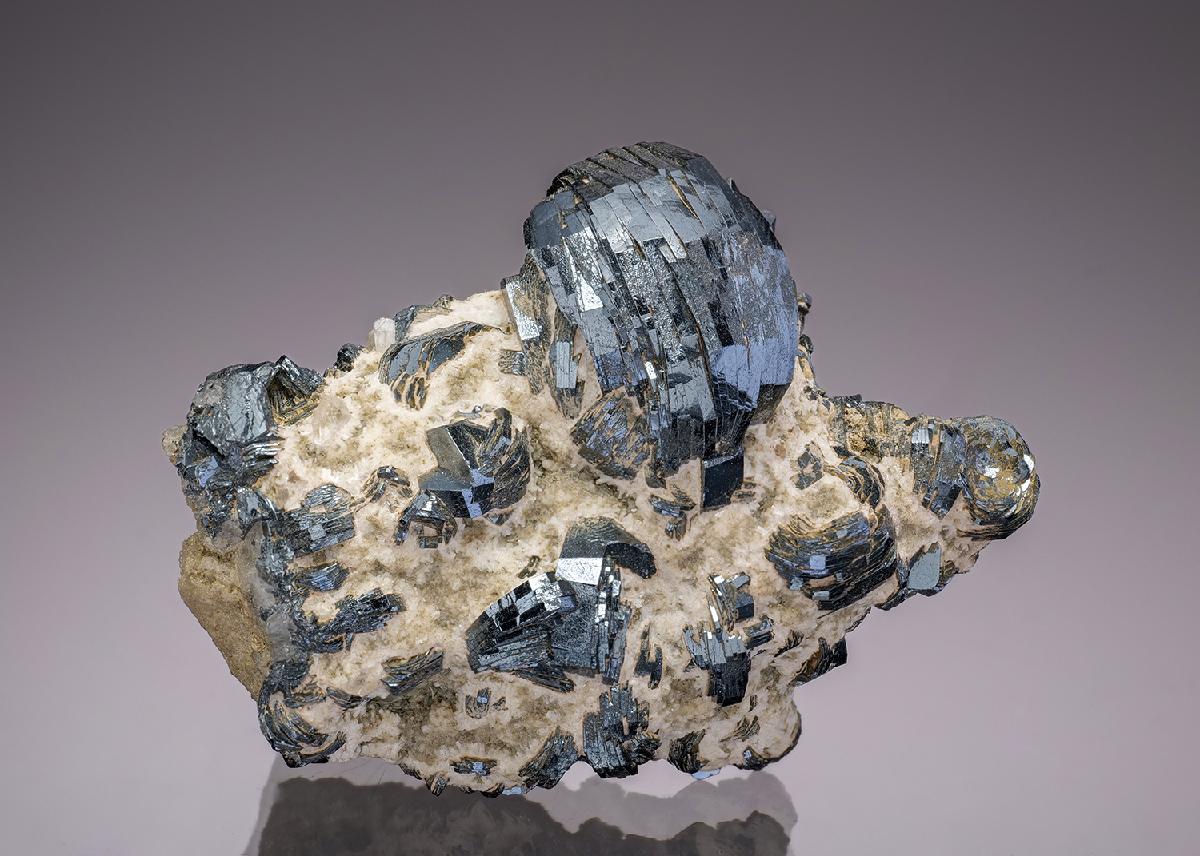 CC10677 specimen image