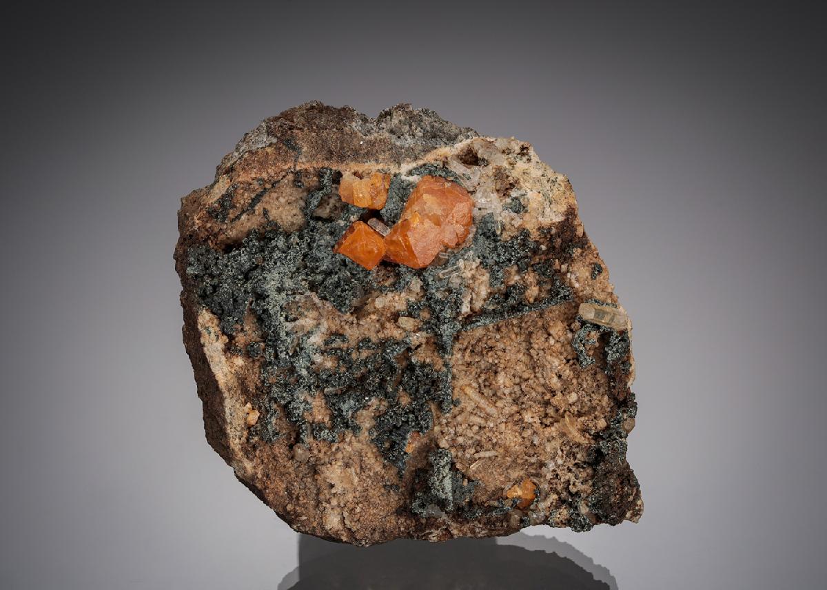 CC10679 specimen image