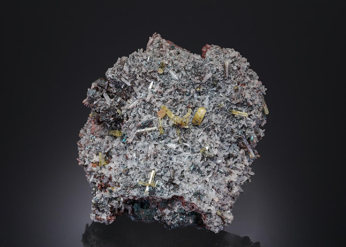 CC10737 specimen image
