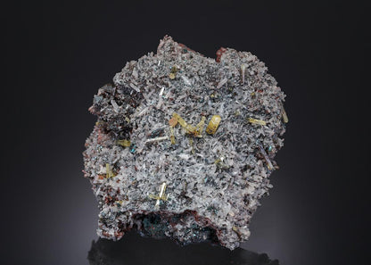 CC10737 specimen image