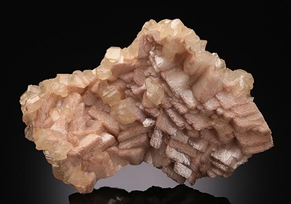 CC10741 specimen image
