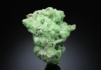CC10742 specimen image