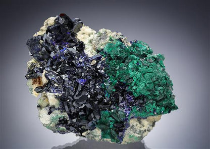 CC10748 specimen image