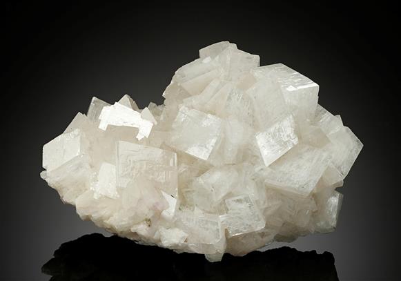 CC10750 specimen image