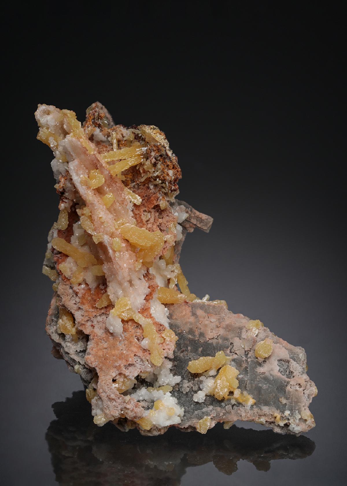 CC10751 specimen image