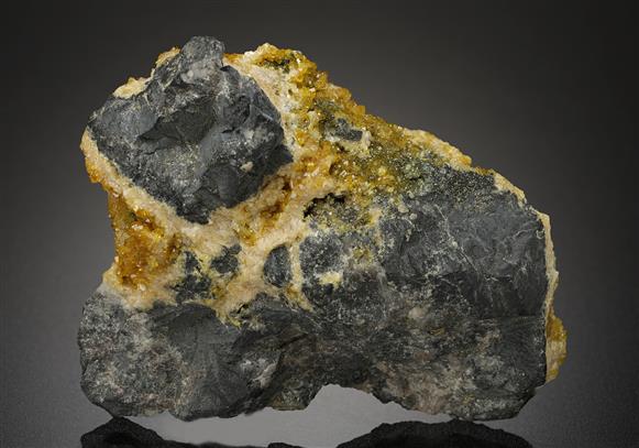 CC10756 specimen image