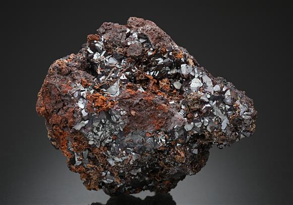 CC10758 specimen image