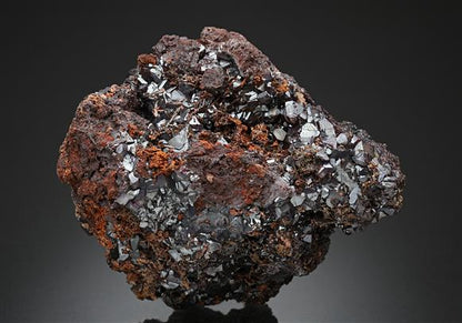 CC10758 specimen image