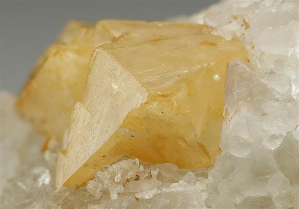 CC10809 specimen image