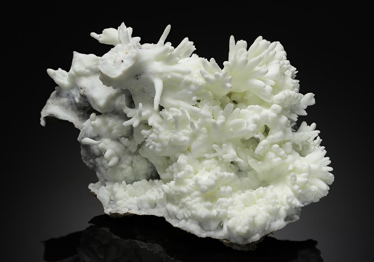 CC10815 specimen image