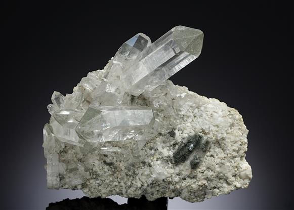 CC10821 specimen image