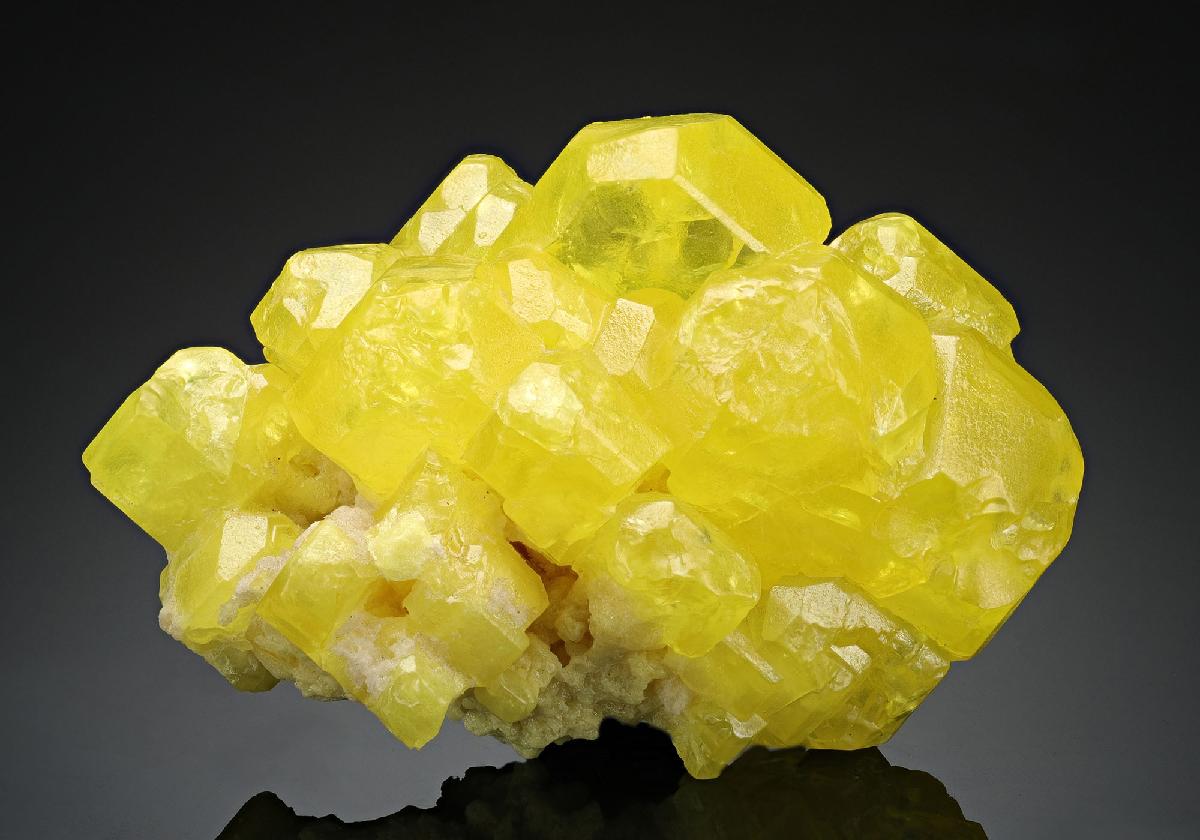 CC10833 specimen image