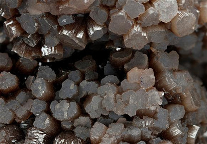 CC10862 specimen image
