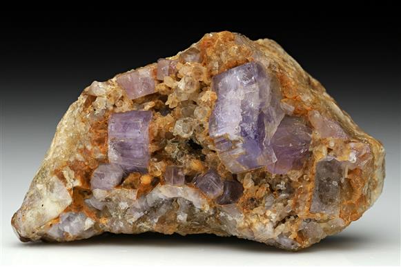 CC10879 specimen image