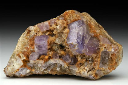 CC10879 specimen image