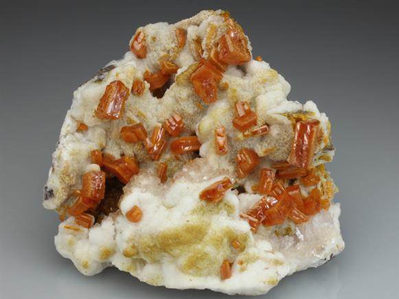 CC1087 specimen image