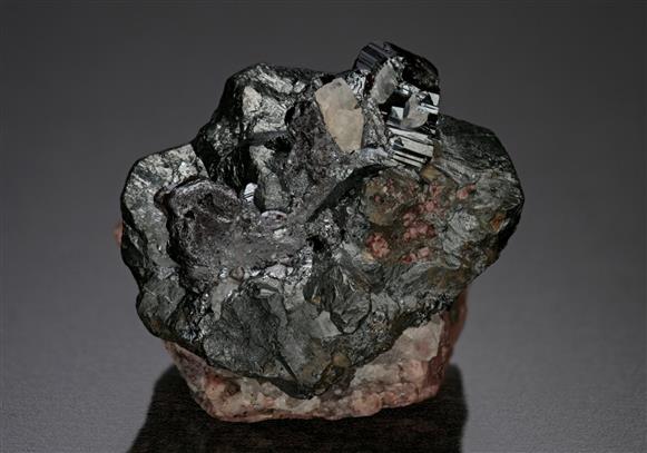 CC10881 specimen image