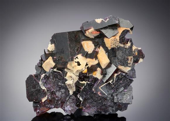 CC10882 specimen image