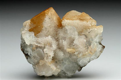 CC10890 specimen image