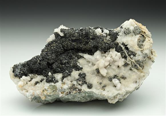 CC10897 specimen image