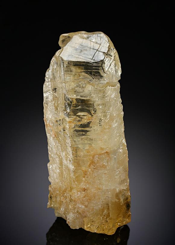 CC10898 specimen image