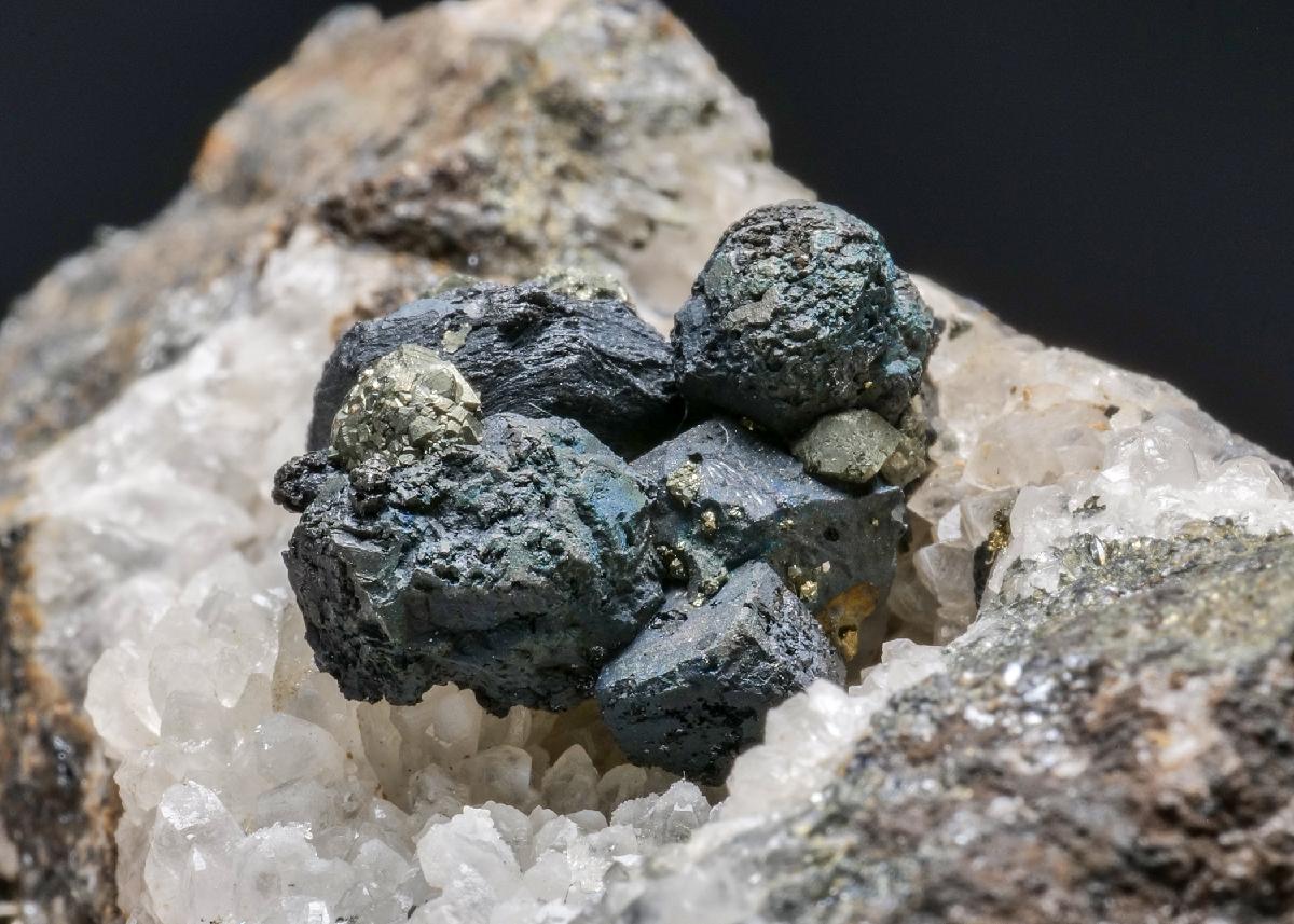 CC10899 specimen image