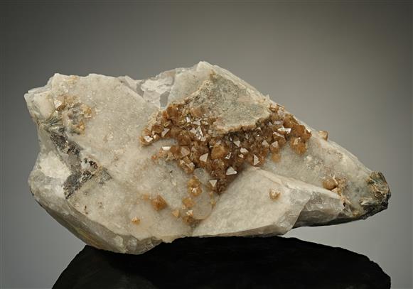 CC10901 specimen image
