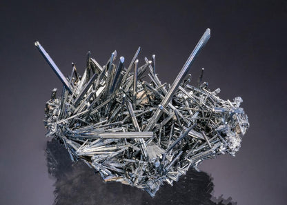 CC10905 specimen image