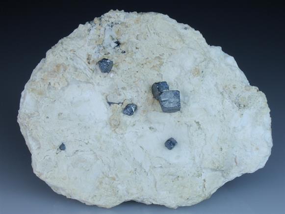 CC1094 specimen image