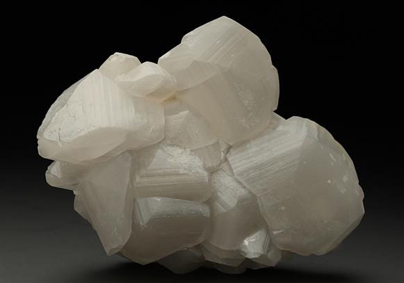 CC10960 specimen image