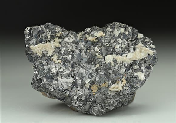CC10966 specimen image