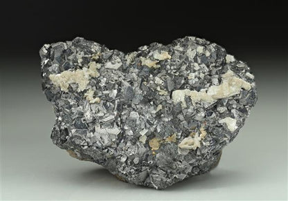 CC10966 specimen image
