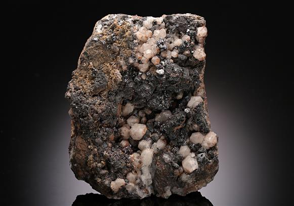 CC10970 specimen image