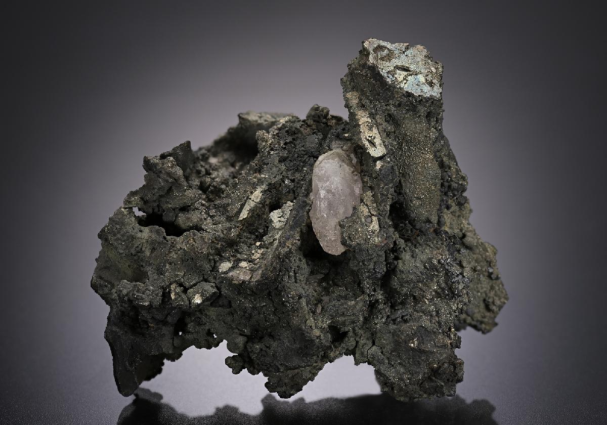 CC10972 specimen image