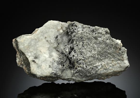 CC10991 specimen image
