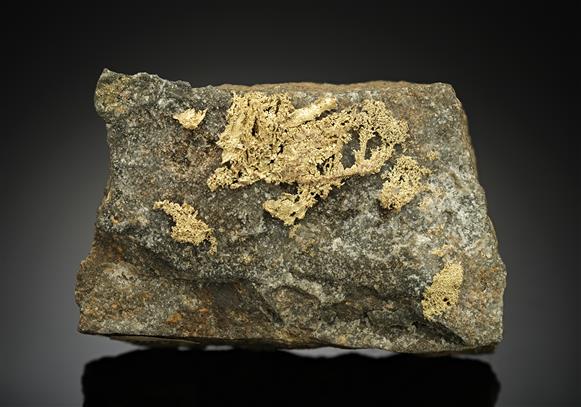 CC10992 specimen image