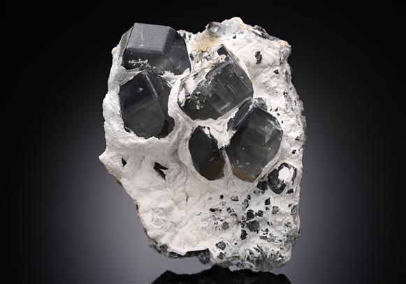 CC11019 specimen image