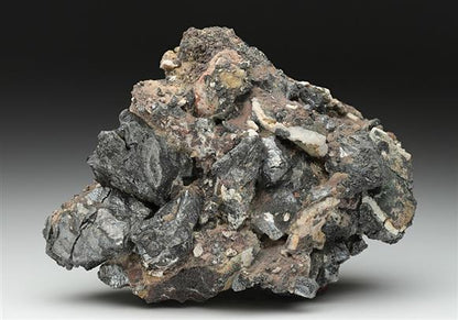 CC11020 specimen image