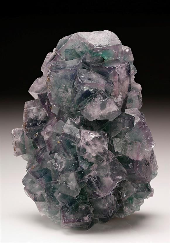 CC11023 specimen image