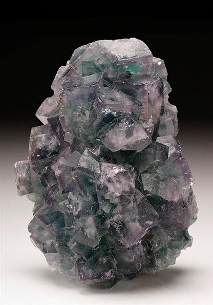CC11023 specimen image