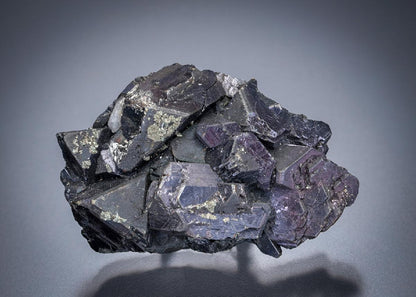 CC11027 specimen image