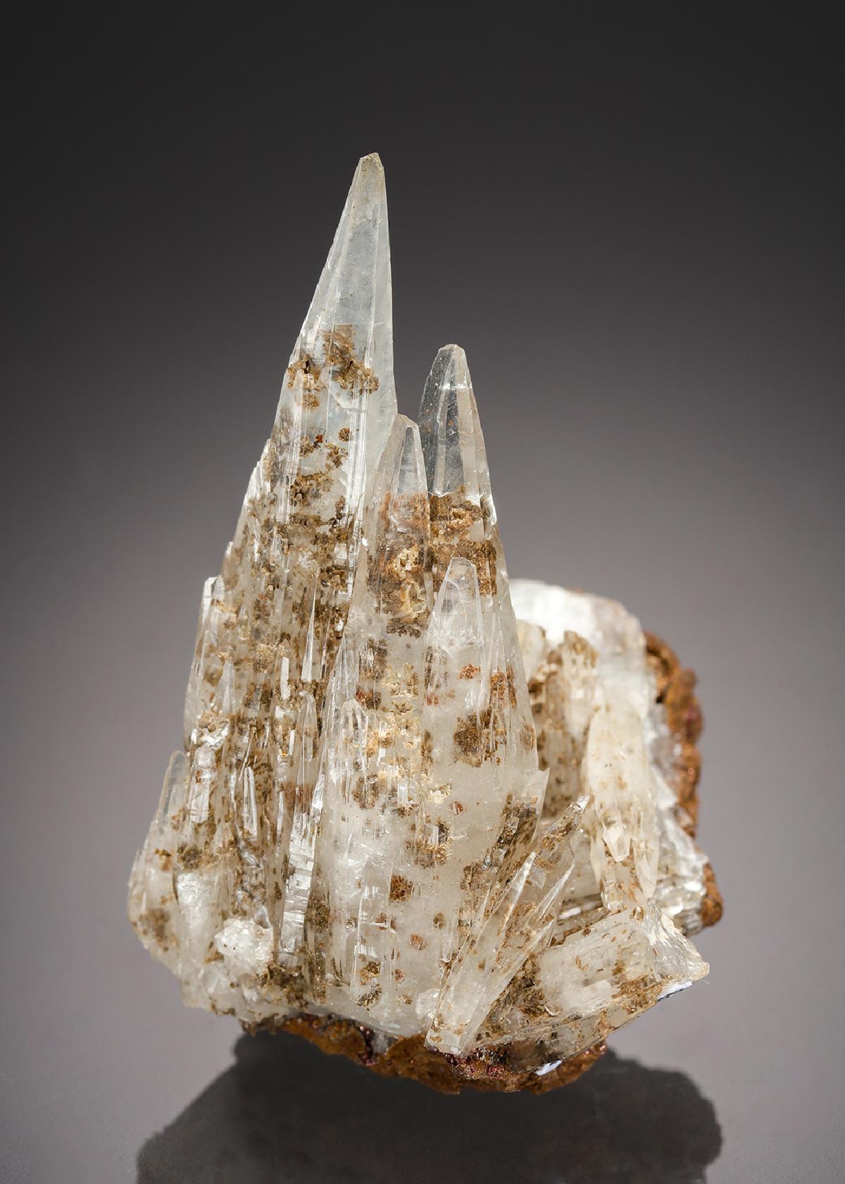 CC11028 specimen image