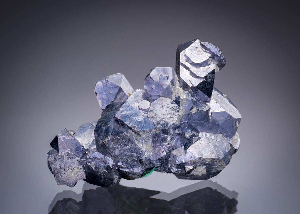 CC11034 specimen image