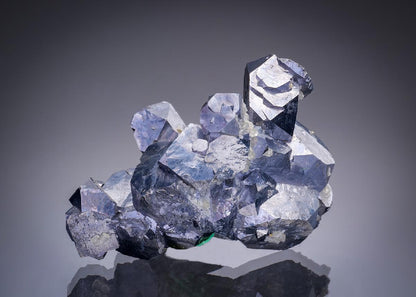 CC11034 specimen image