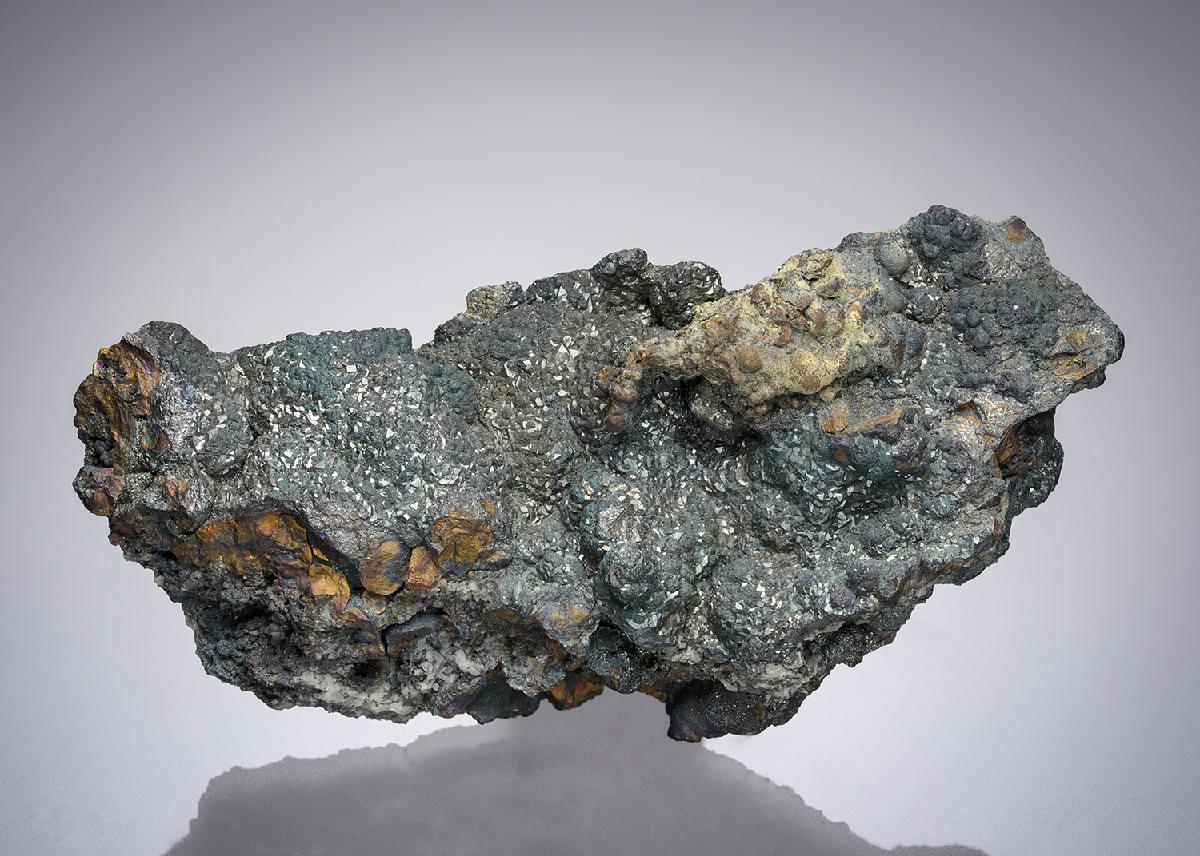CC11038 specimen image