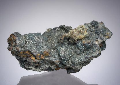CC11038 specimen image